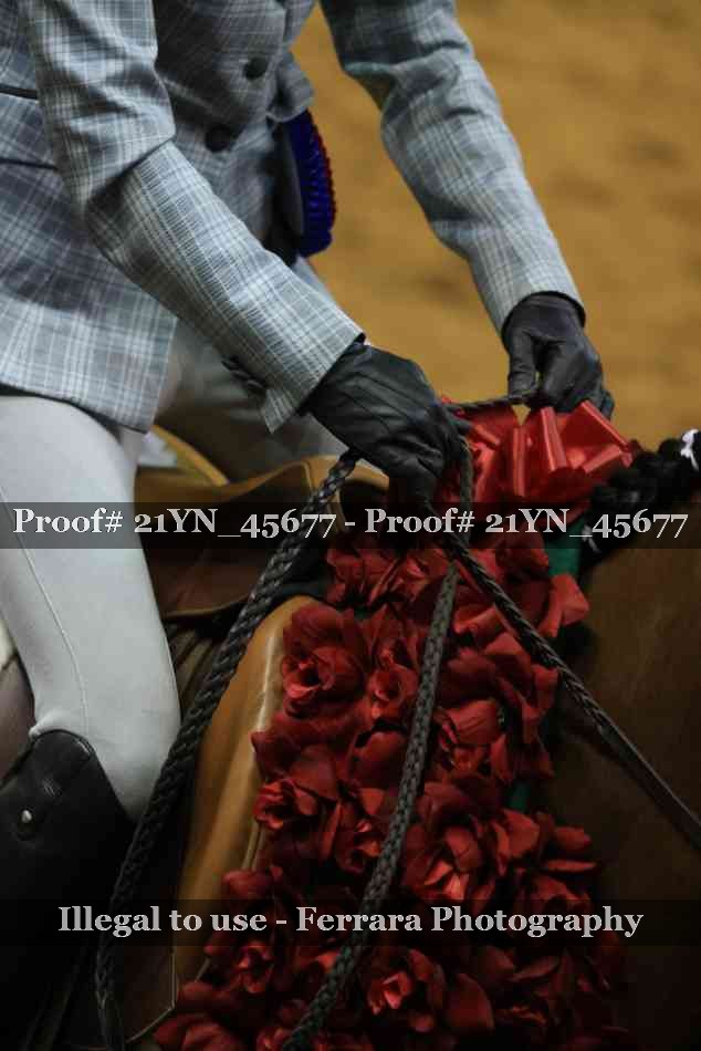 Proof Number 21YN_45677