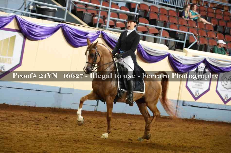 Proof Number 21YN_16627