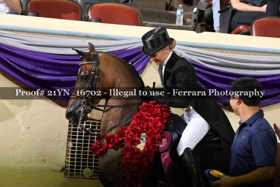 Proof Number 21YN_16702