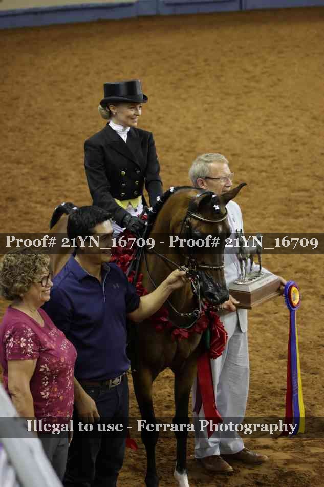 Proof Number 21YN_16709