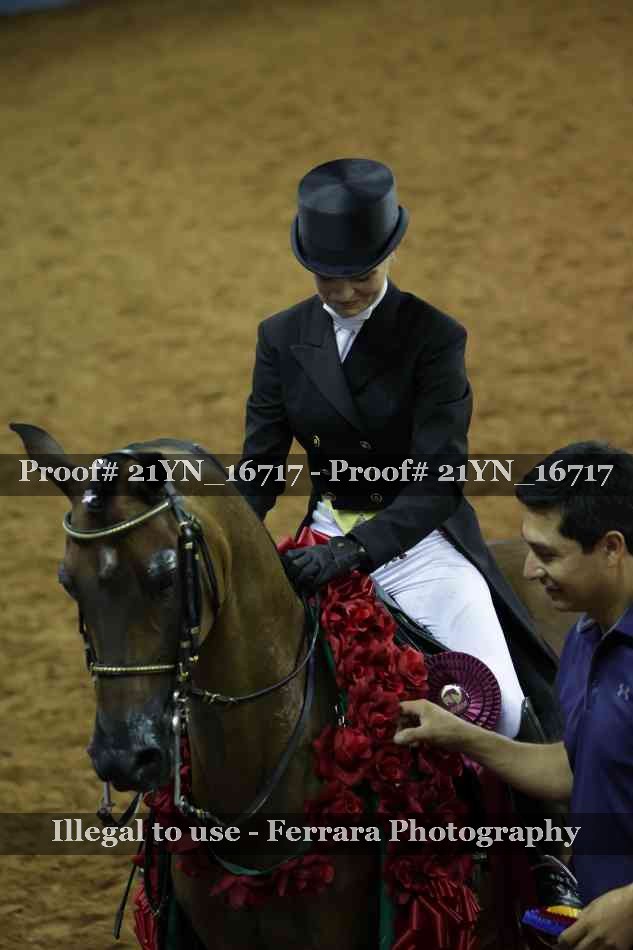 Proof Number 21YN_16717