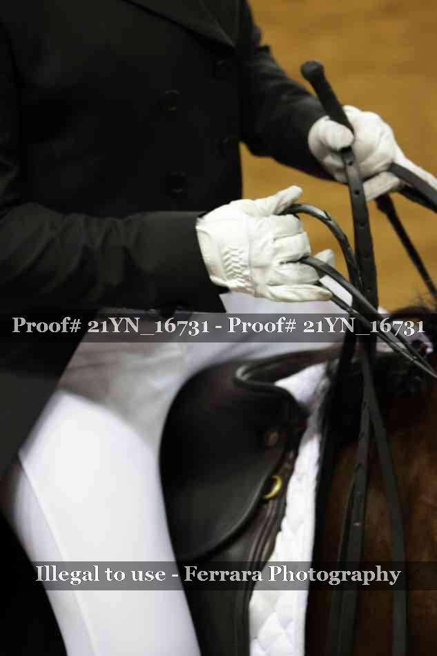 Proof Number 21YN_16731