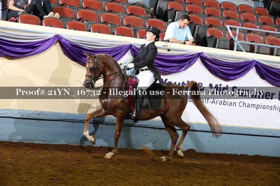 Proof Number 21YN_16732