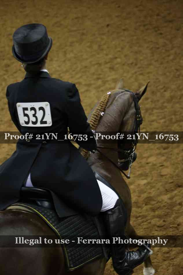 Proof Number 21YN_16753