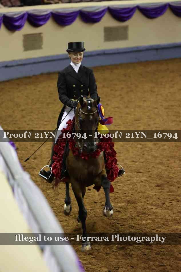 Proof Number 21YN_16794