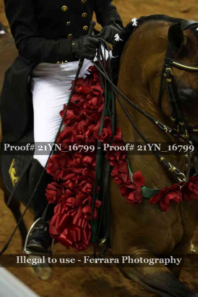 Proof Number 21YN_16799