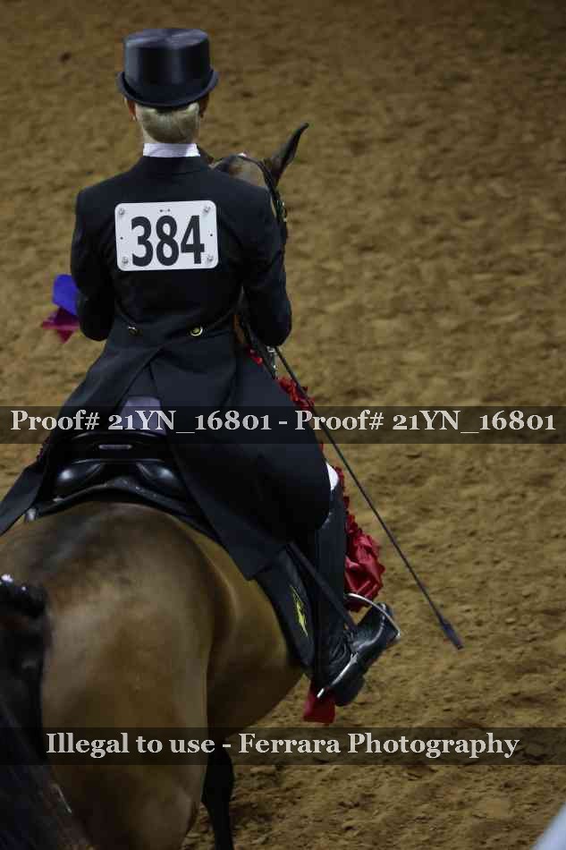 Proof Number 21YN_16801