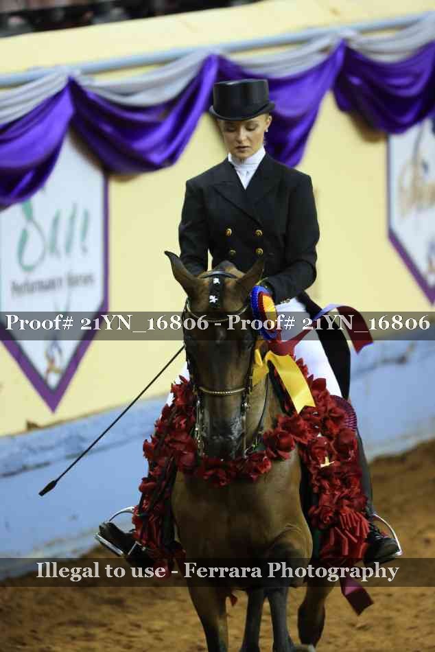 Proof Number 21YN_16806