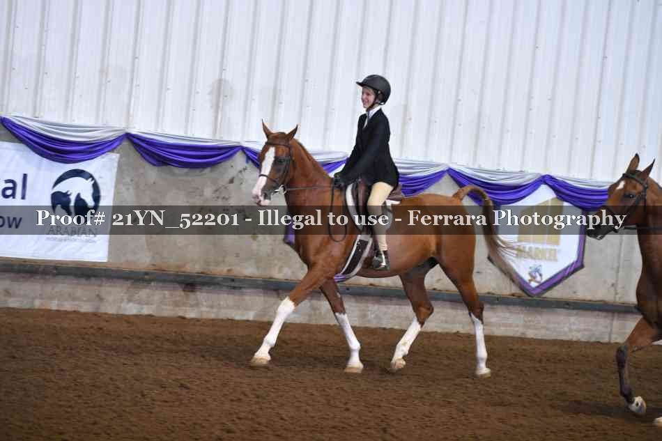 Proof Number 21YN_52201