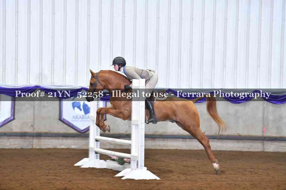 Proof Number 21YN_52258
