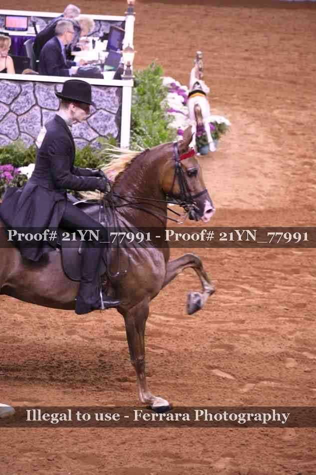 Proof Number 21YN_77991
