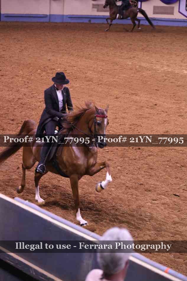Proof Number 21YN_77995