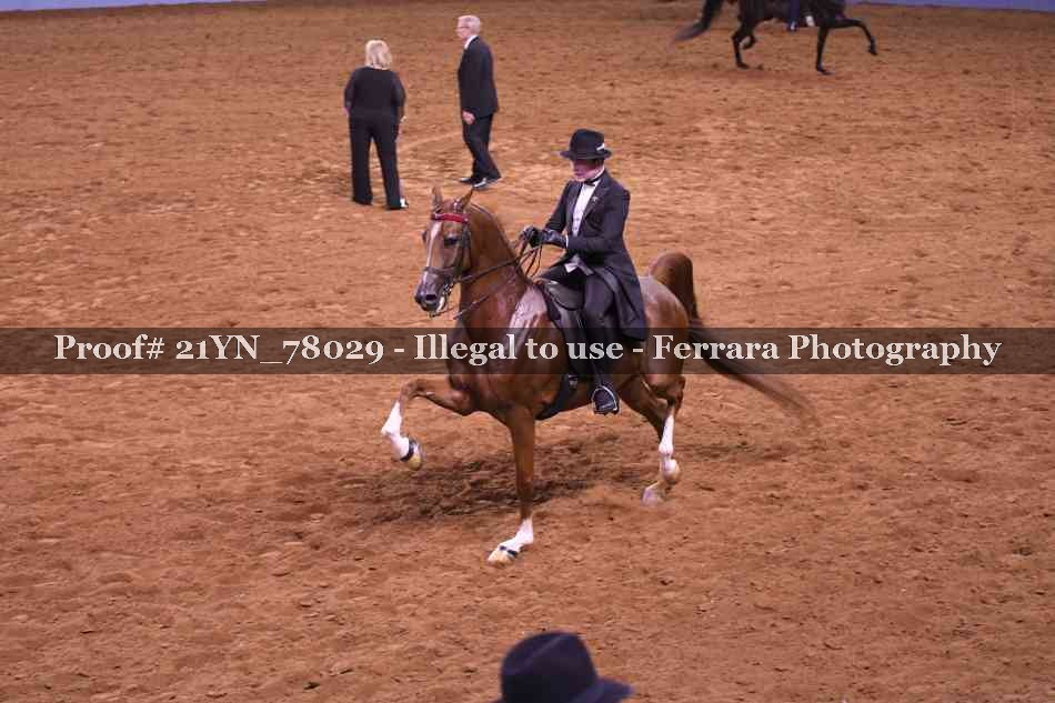 Proof Number 21YN_78029