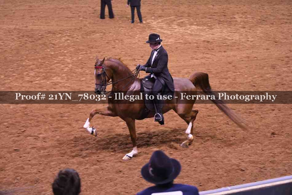 Proof Number 21YN_78032