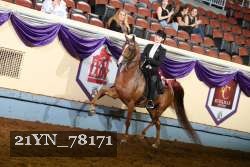 21YN_78171 thumbnail