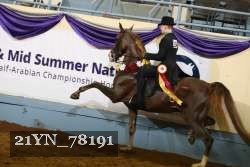 21YN_78191 thumbnail