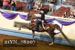 21YN_78207 thumbnail