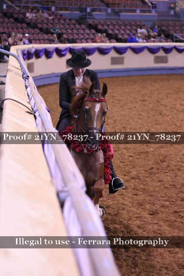 Proof Number 21YN_78237