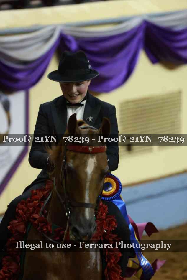 Proof Number 21YN_78239