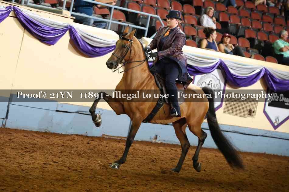 Proof Number 21YN_11891