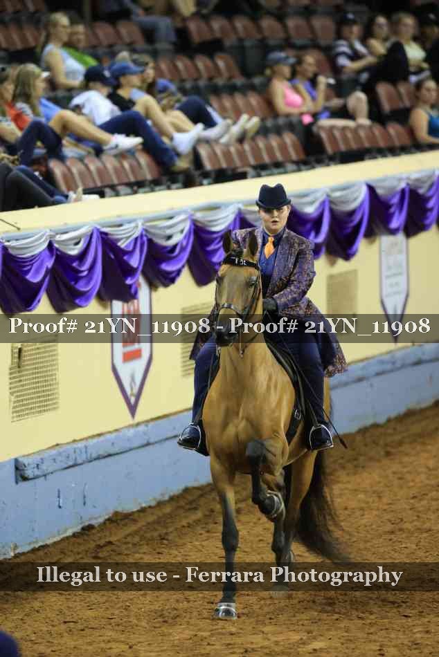 Proof Number 21YN_11908