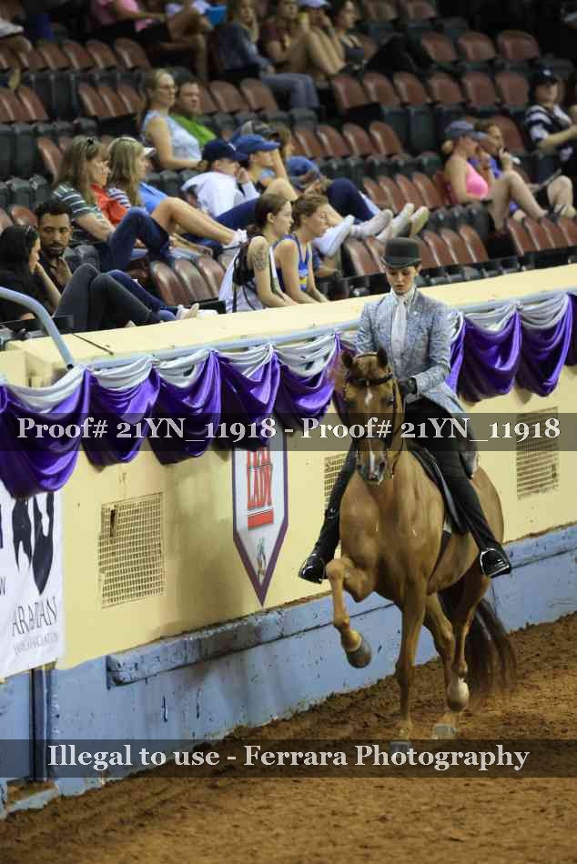 Proof Number 21YN_11918