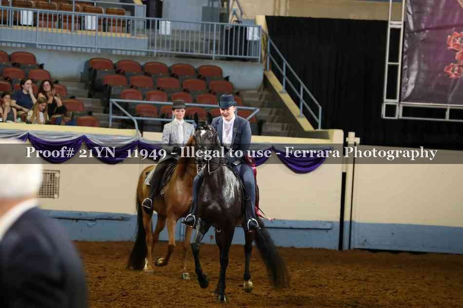 Proof Number 21YN_11949