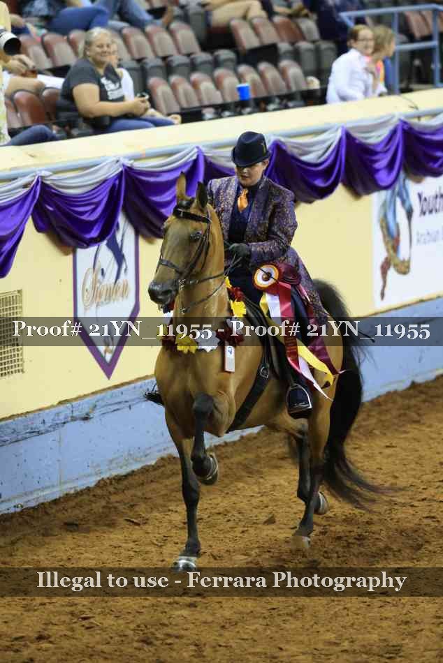 Proof Number 21YN_11955