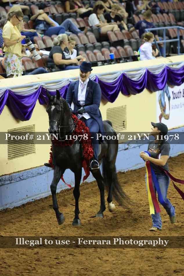 Proof Number 21YN_11978