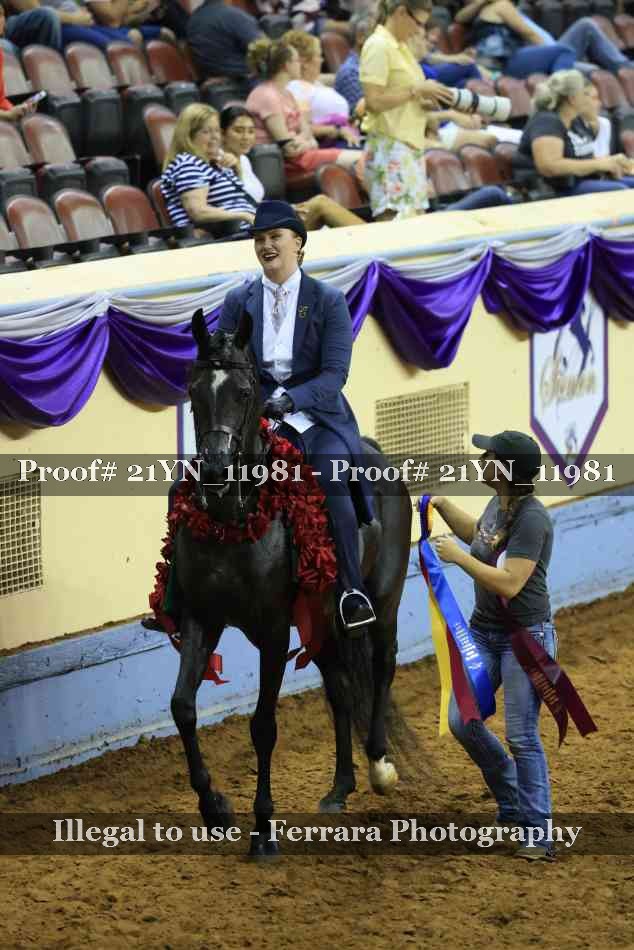 Proof Number 21YN_11981