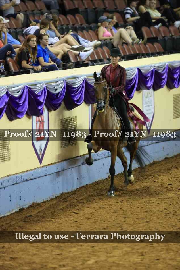 Proof Number 21YN_11983
