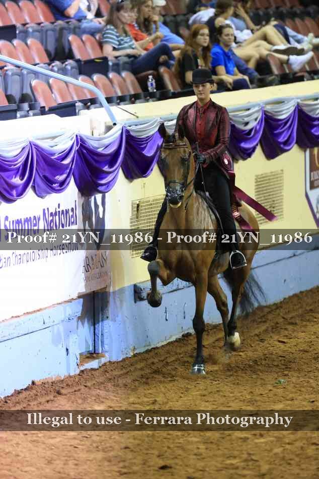 Proof Number 21YN_11986