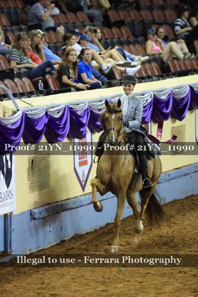 Proof Number 21YN_11990