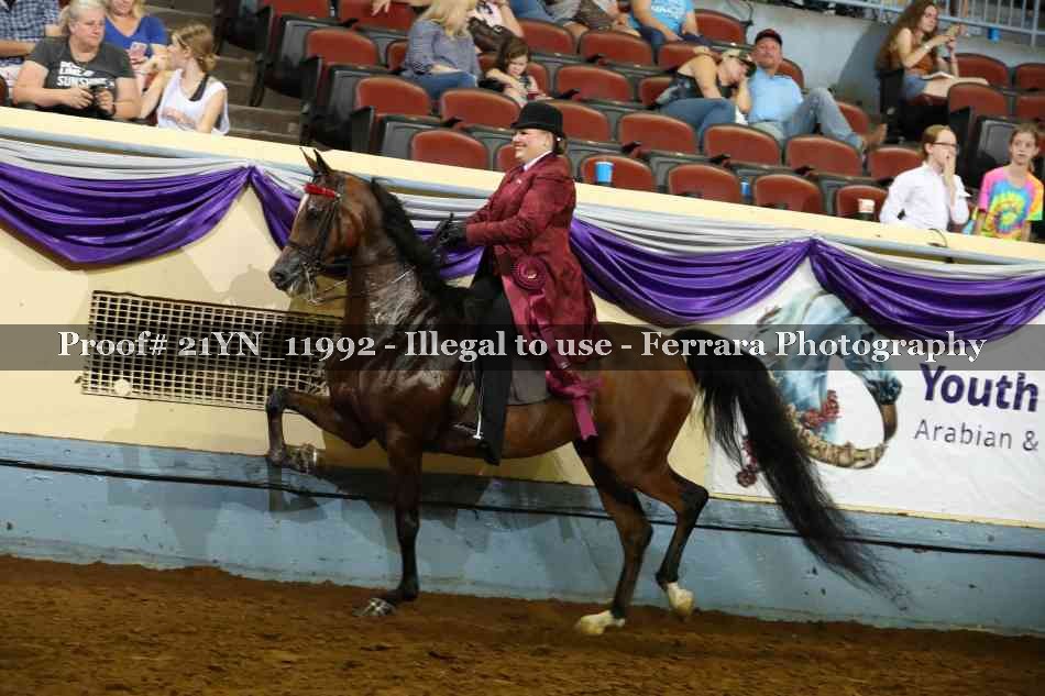 Proof Number 21YN_11992