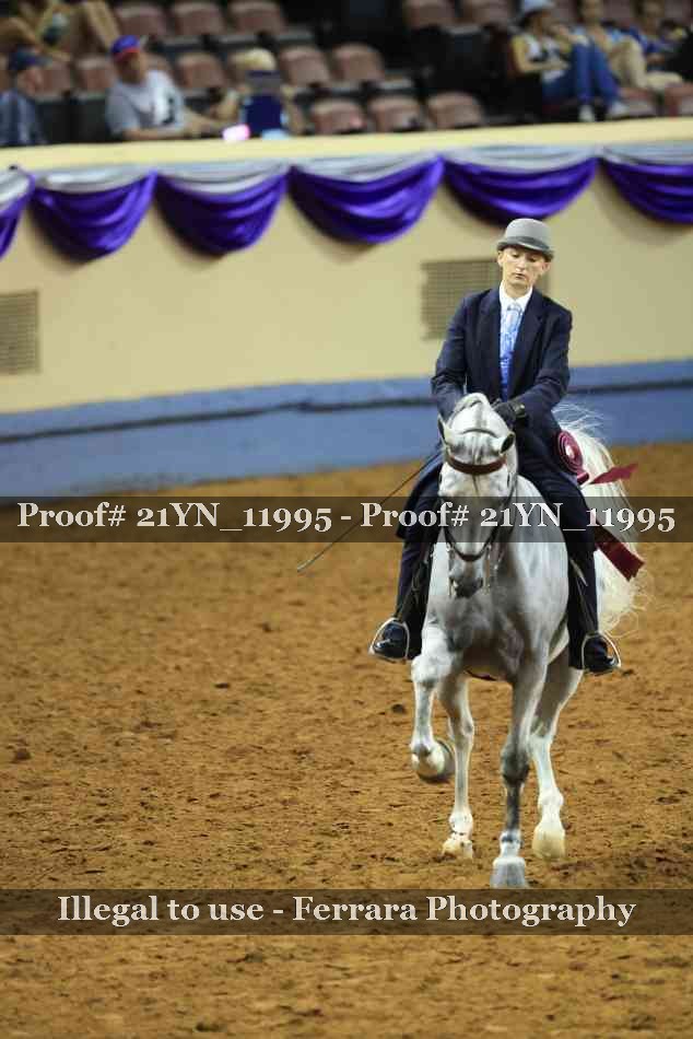 Proof Number 21YN_11995