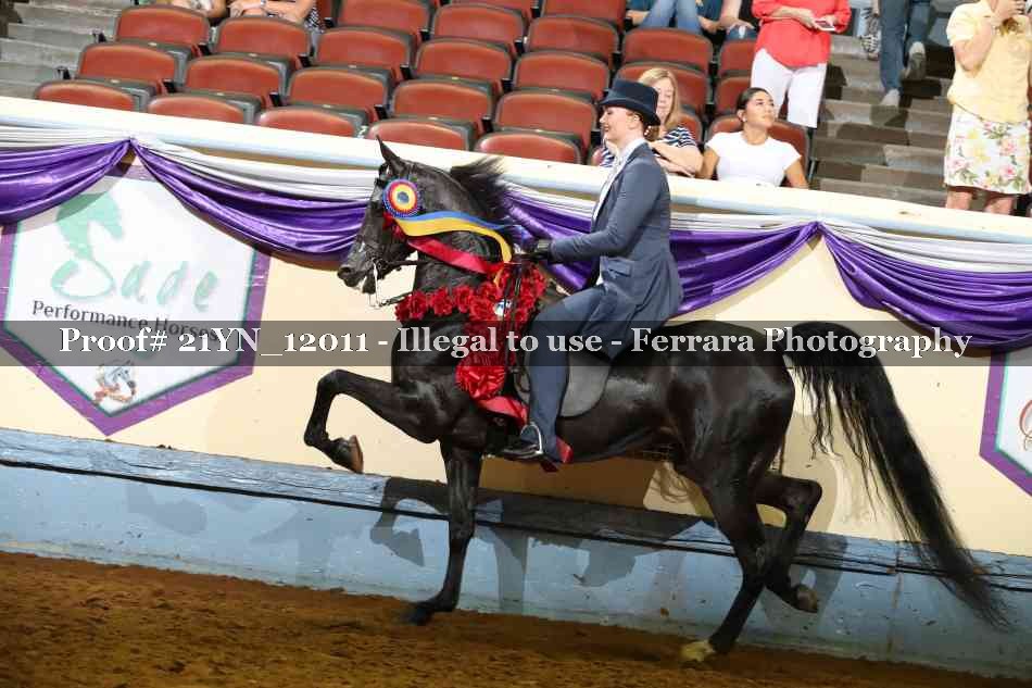 Proof Number 21YN_12011