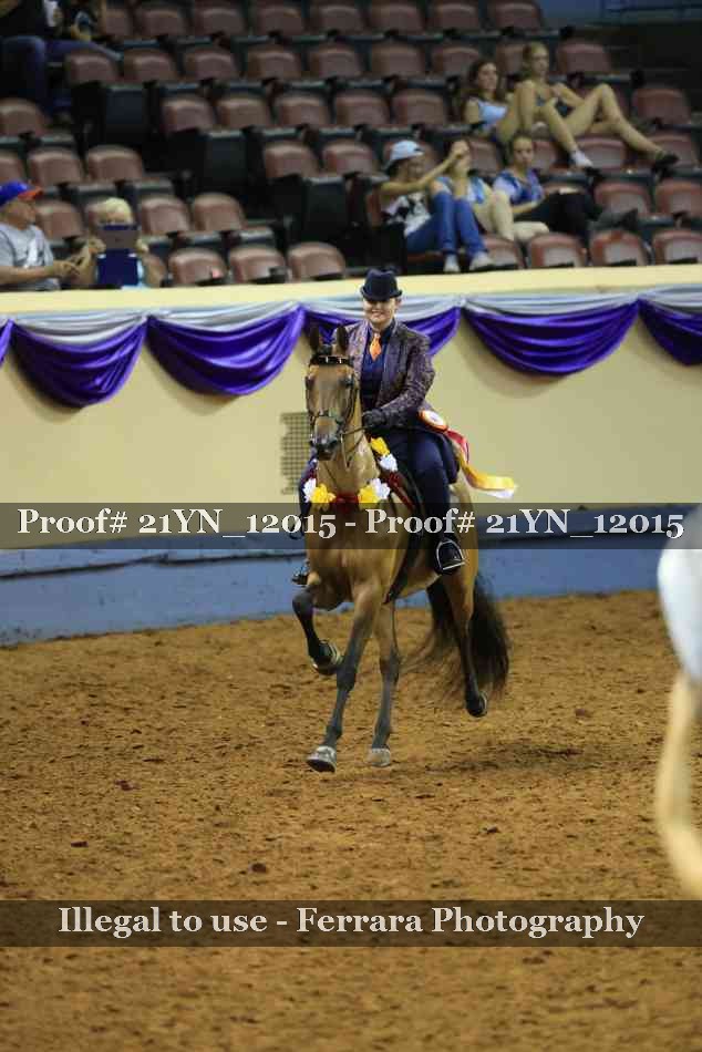 Proof Number 21YN_12015