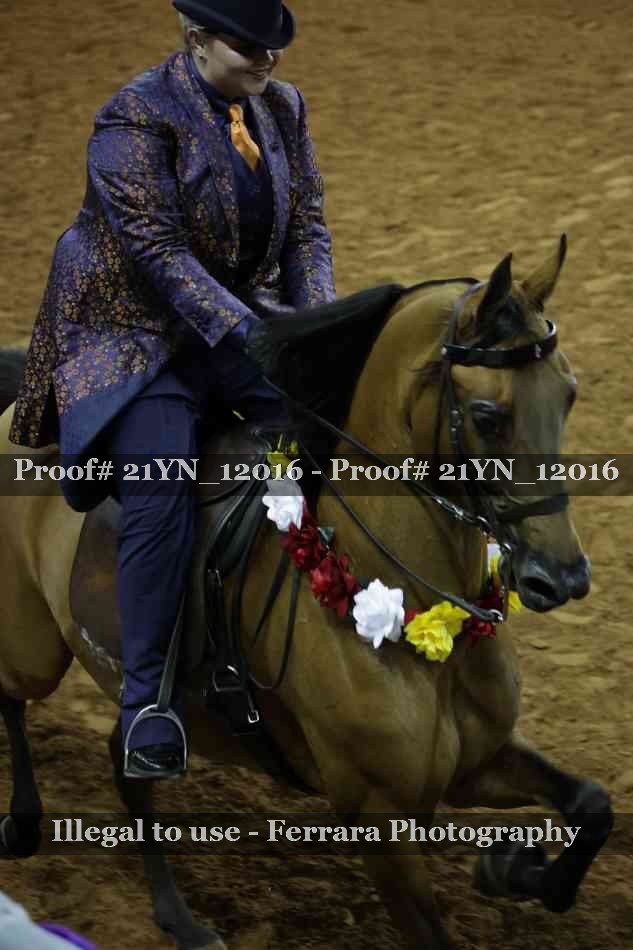 Proof Number 21YN_12016