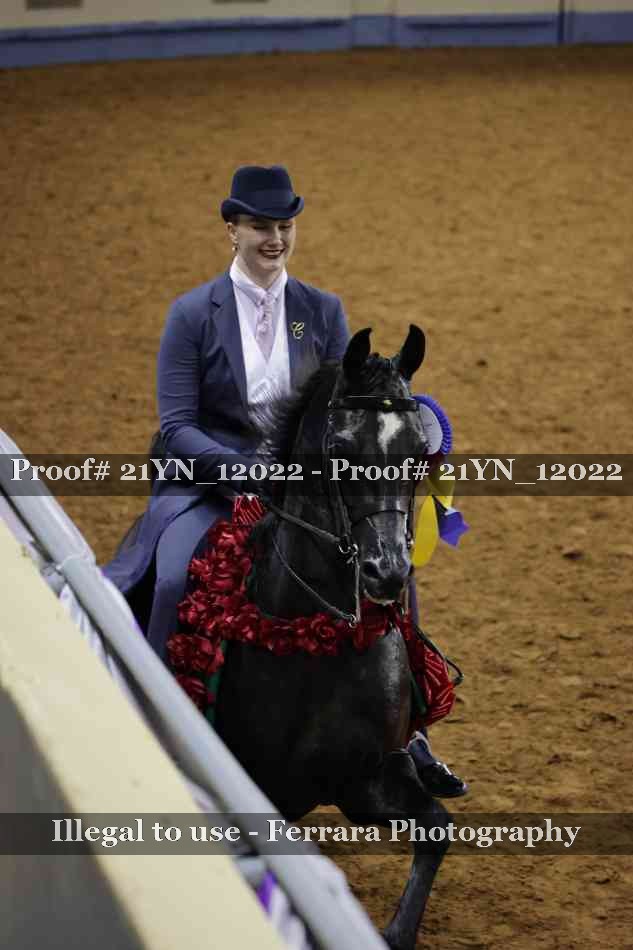 Proof Number 21YN_12022