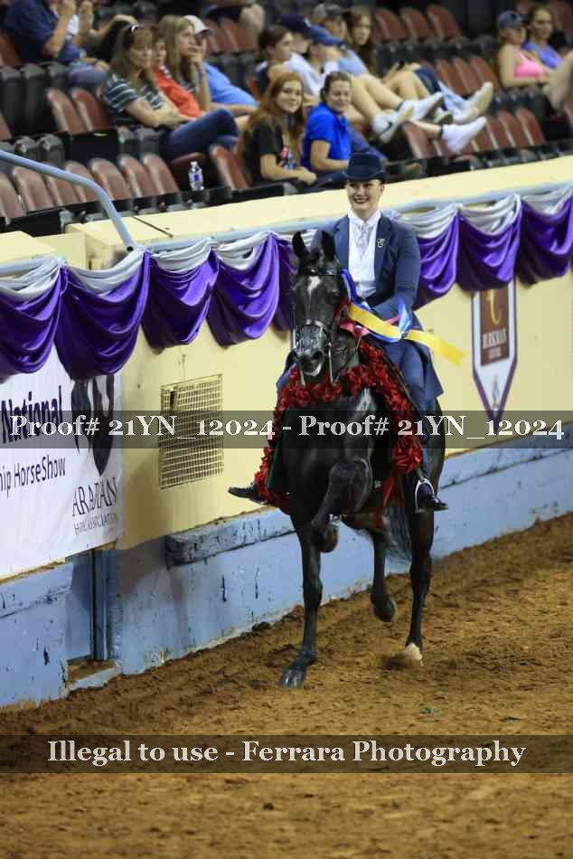 Proof Number 21YN_12024