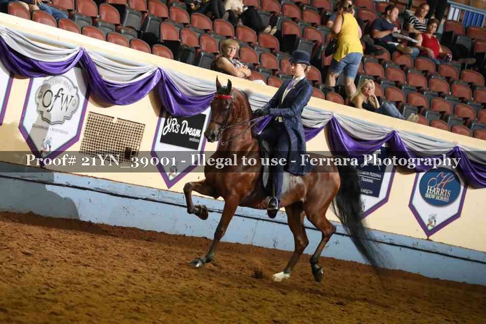 Proof Number 21YN_39001