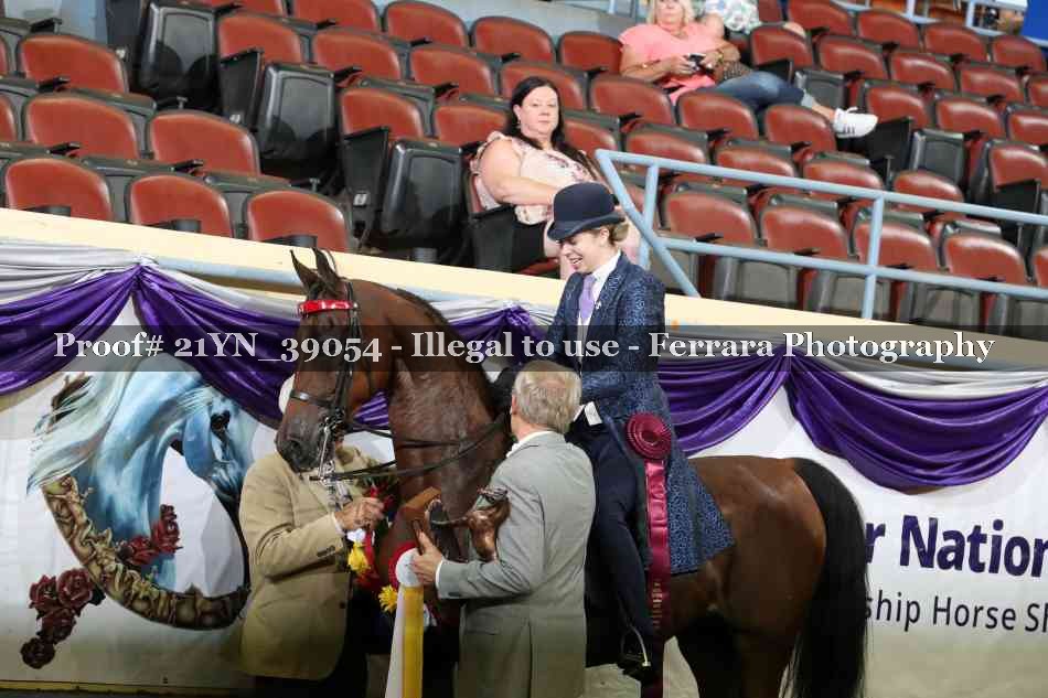 Proof Number 21YN_39054