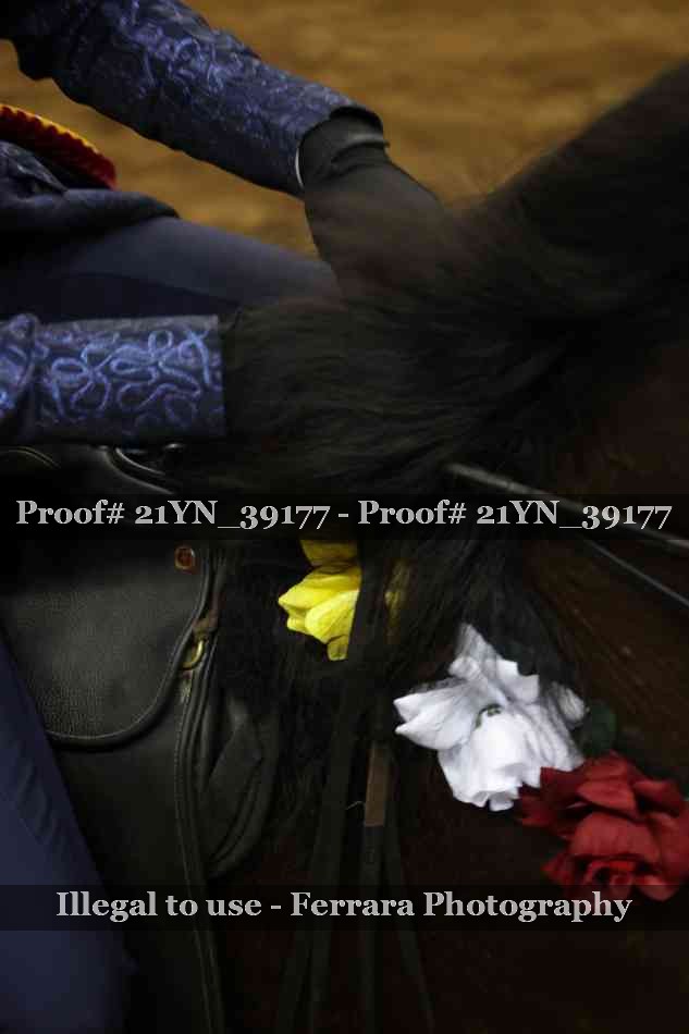 Proof Number 21YN_39177