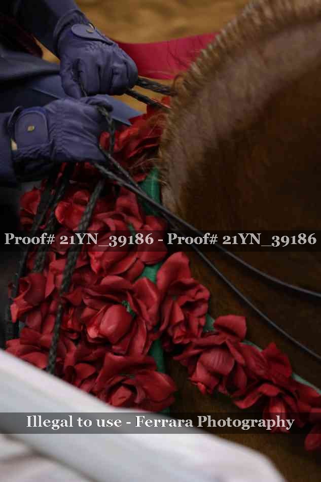 Proof Number 21YN_39186