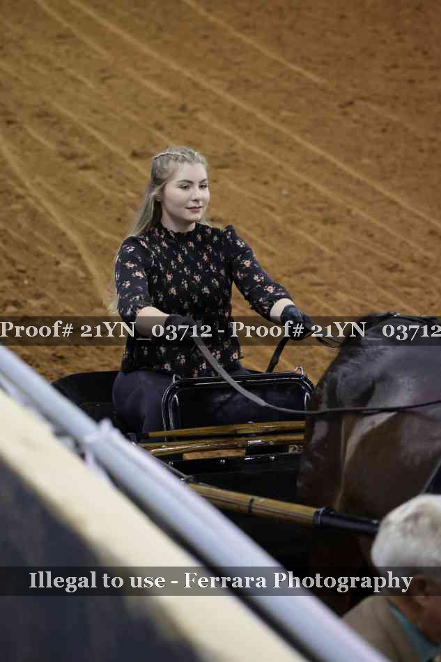 Proof Number 21YN_03712