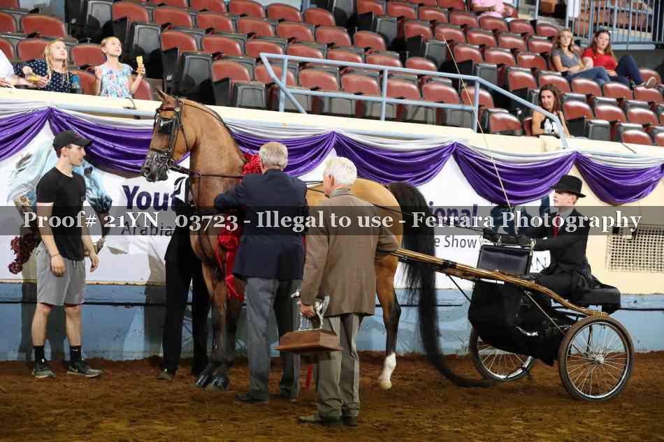 Proof Number 21YN_03723