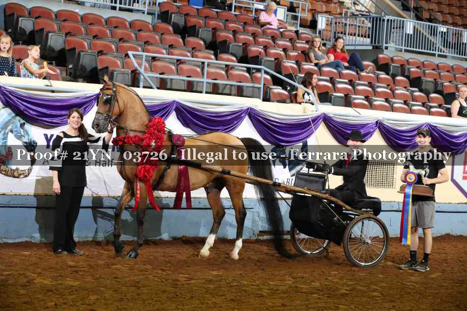 Proof Number 21YN_03726