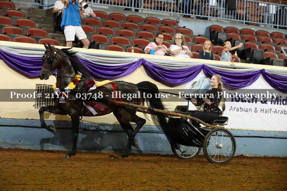 Proof Number 21YN_03748