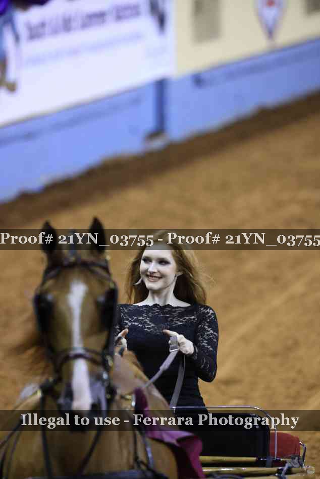 Proof Number 21YN_03755