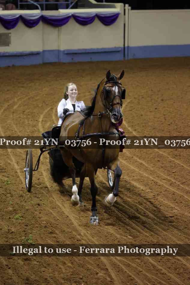 Proof Number 21YN_03756